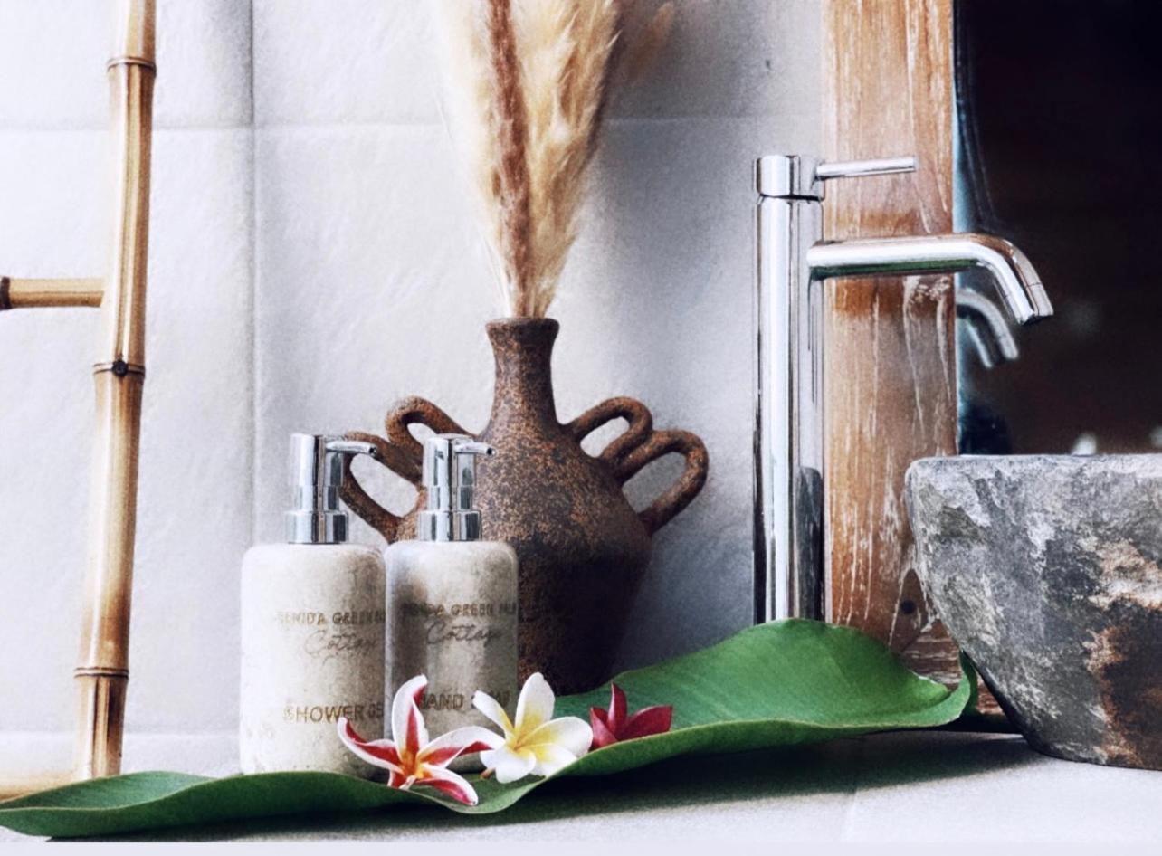Penida Green Palm Cottage By Bali Cabin Toyapakeh Luaran gambar